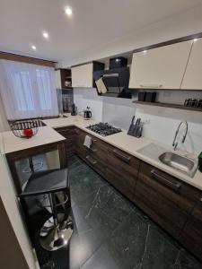 cocina con fregadero y fogones horno superior en APARTAMENT SĄDECKA OSTOJA en Nowy Sącz