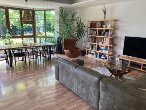 sala de estar con sofá, mesa y TV en Spacious villa with an outdoor pool in Černošice, en Černošice