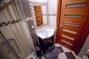 a bathroom with a sink and a shower and a toilet at Cichy Zakątek in Ciche
