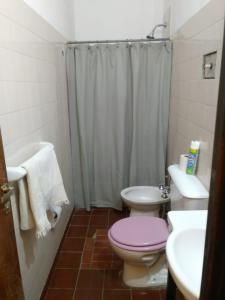 La salle de bains est pourvue d'une douche et de toilettes roses. dans l'établissement La Casa de Minona, à Salta