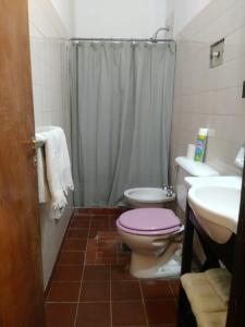 La salle de bains est pourvue de toilettes roses et d'un lavabo. dans l'établissement La Casa de Minona, à Salta