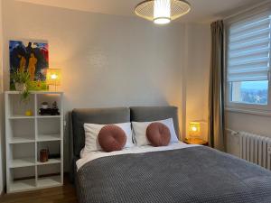ein Schlafzimmer mit einem Bett mit zwei Kissen und einem Fenster in der Unterkunft Ostrava Poruba Centre in Ostrava