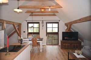 TV a/nebo společenská místnost v ubytování SLO-ETNO HOUSE GOSTECE-Vintage Apartma