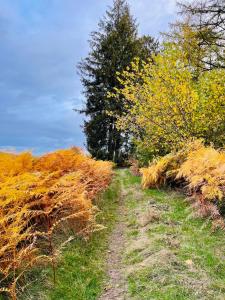 Paesaggio naturale nelle vicinanze della casa vacanze