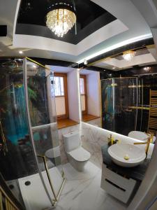 a bathroom with a toilet and a shower and a sink at Apartamenty nad potokiem in Zakopane