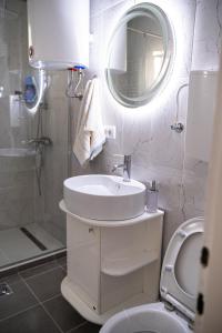 ein Badezimmer mit einem Waschbecken, einem WC und einem Spiegel in der Unterkunft Stan na dan CENTRAL Uzice in Užice