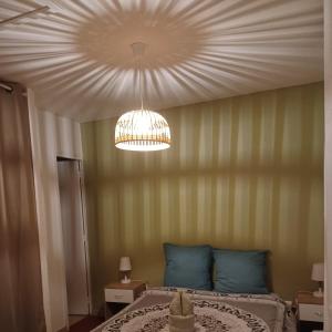 a bedroom with a bed and a chandelier at Jolie petite maison idéalement située in Arles