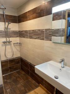 a bathroom with a sink and a shower at Penzion Brnenka in Špindlerův Mlýn