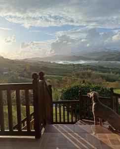 a dog standing on a fence looking out at a valley at La Casa de Nuria in Cangas de Onís