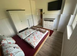 a bedroom with a bed and a tv in it at Hildas Idyllische Ferienwohnung in Gödenstorf