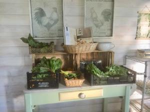 una mesa con cestas de verduras encima. en Appartamentino in AZ.AGRICOLA - MALPENSA- LAGO MAGGIORE-, en Varallo Pombia