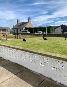 a white fence with two birds sitting on the grass at Life’s a Beach, MONTROSE SCOTLAND in Montrose