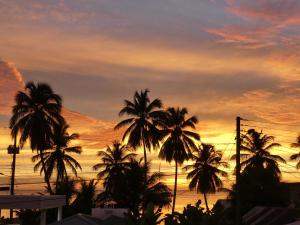 a group of palm trees in front of a sunset at Southern Haven Guesthouse in Laborie