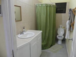 a bathroom with a sink and a green shower curtain at Southern Haven Guesthouse in Laborie +73 photos