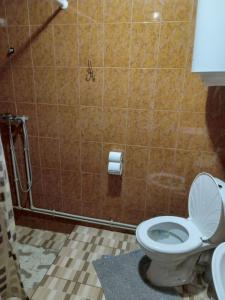 a bathroom with a toilet and a tiled wall at Верх Довбуша in Vorokhta