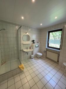 a bathroom with a shower and a sink and a toilet at Ferienhaus Jobelius in Beilstein