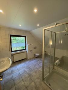a bathroom with a shower and a sink and a toilet at Ferienhaus Jobelius in Beilstein