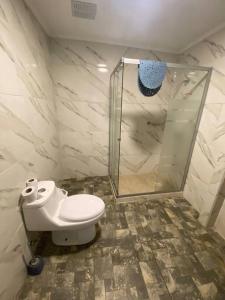 a bathroom with a toilet and a shower at Casa amoblada, Los Vilos in Los Vilos
