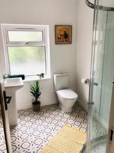 a bathroom with a toilet and a sink and a window at Cosy House, Lisburn Road in Belfast