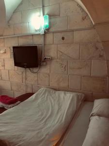 a room with a bed and a tv on a brick wall at Alkan konuk evi in Urfa