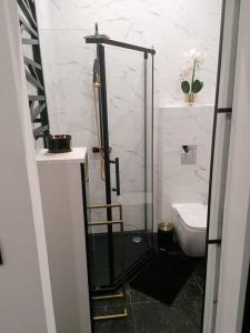 een badkamer met een douche en een toilet bij Apartament Czarny in Bydgoszcz