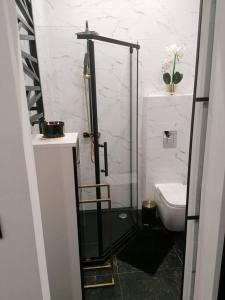Kúpeľňa v ubytovaní Apartament Czarny z Jacuzzi