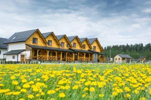 eine Reihe von Häusern auf einem Feld gelber Blumen in der Unterkunft DW KINGA & DOMKI na Granicznej z jacuzzi in Kacwin
