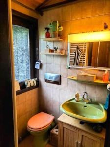La salle de bains est pourvue de toilettes vertes et d'un lavabo. dans l'établissement Ferienhaus am Listersee, à Meinerzhagen