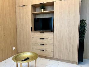 TV a/nebo společenská místnost v ubytování Polonia Premium Apartments