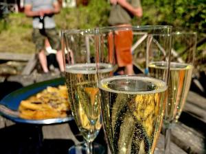 Bevande di Skogsbrynet B&B, Bredsjö Nya Herrgård