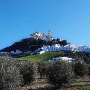 a hill with white buildings on top of it at Olive Tree self-catering accommodation in Olvera