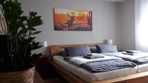 Llit o llits en una habitació de Ferienhaus Hinterlandswald