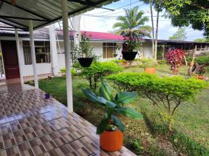 Hotel Campo Verde في فيلاجارزون: شرفة منزل مع نباتات الفخار