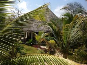 dom z palmami przed nim w obiekcie Luxury Simba House in Watamu [ ☆☆☆☆☆ ] w mieście Watamu