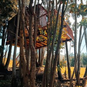 una casa en el árbol en medio de los árboles en Casa en el Árbol Guatavita en Guatavita