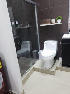 een badkamer met een toilet en een glazen douche bij Departamentos L in Cuauhtémoc