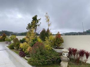 a garden with many plants and a white wall at Megatower 3 - Close to Session Road - City Center in Baguio