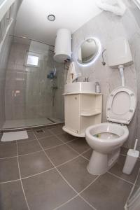 ein Bad mit einem WC, einem Waschbecken und einer Dusche in der Unterkunft Stan na dan CENTRAL Uzice in Užice