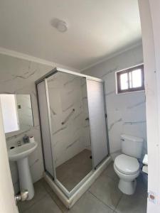 洛斯比洛斯Departamento S con hermosa vista a la costa的带淋浴、马桶和水槽的浴室