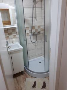 a bathroom with a shower and a toilet and a sink at Apartment Ana in Slavonski Brod