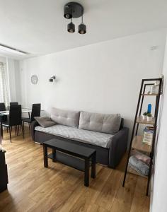 a living room with a couch and a table at Apartament Gallusa in Katowice