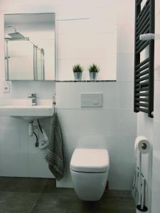 a white bathroom with a toilet and a sink at Apartament Gallusa in Katowice