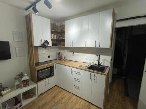Kuchyň nebo kuchyňský kout v ubytování Apartman Element