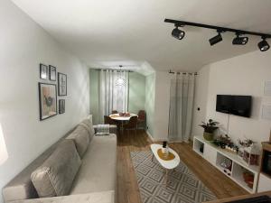 TV a/nebo společenská místnost v ubytování Apartman Element
