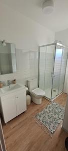 a bathroom with a toilet and a sink and a mirror at Chalé Funchal - City view in Funchal