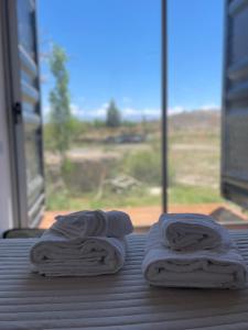 dos toallas sentadas en una mesa frente a una ventana en Tierra de Leones en Rodeo
