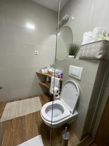 Koupelna v ubytování Apartman Element + 37 fotografií