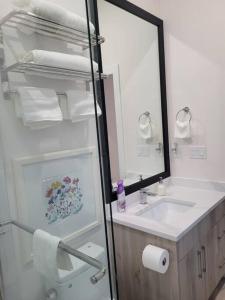 a bathroom with a sink and a mirror at Spacious getaway for couples with separate entrance in Surrey