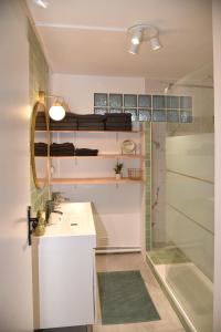 a bathroom with a sink and a shower at Les Chambres de Troyes - Parking Free Fibre Netflix in Troyes