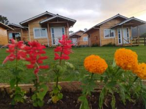 a group of flowers in front of a house at Pousada Flor do Campestre in Urubici